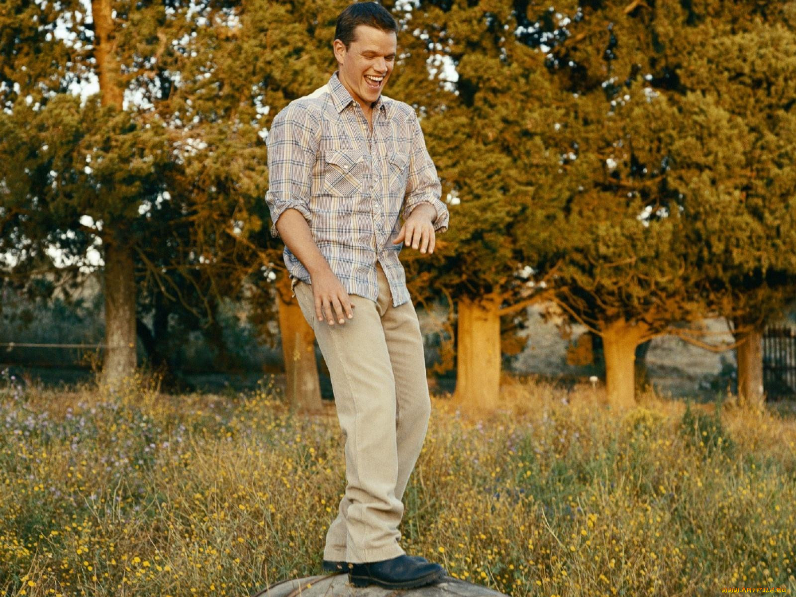 matt, damon, 
